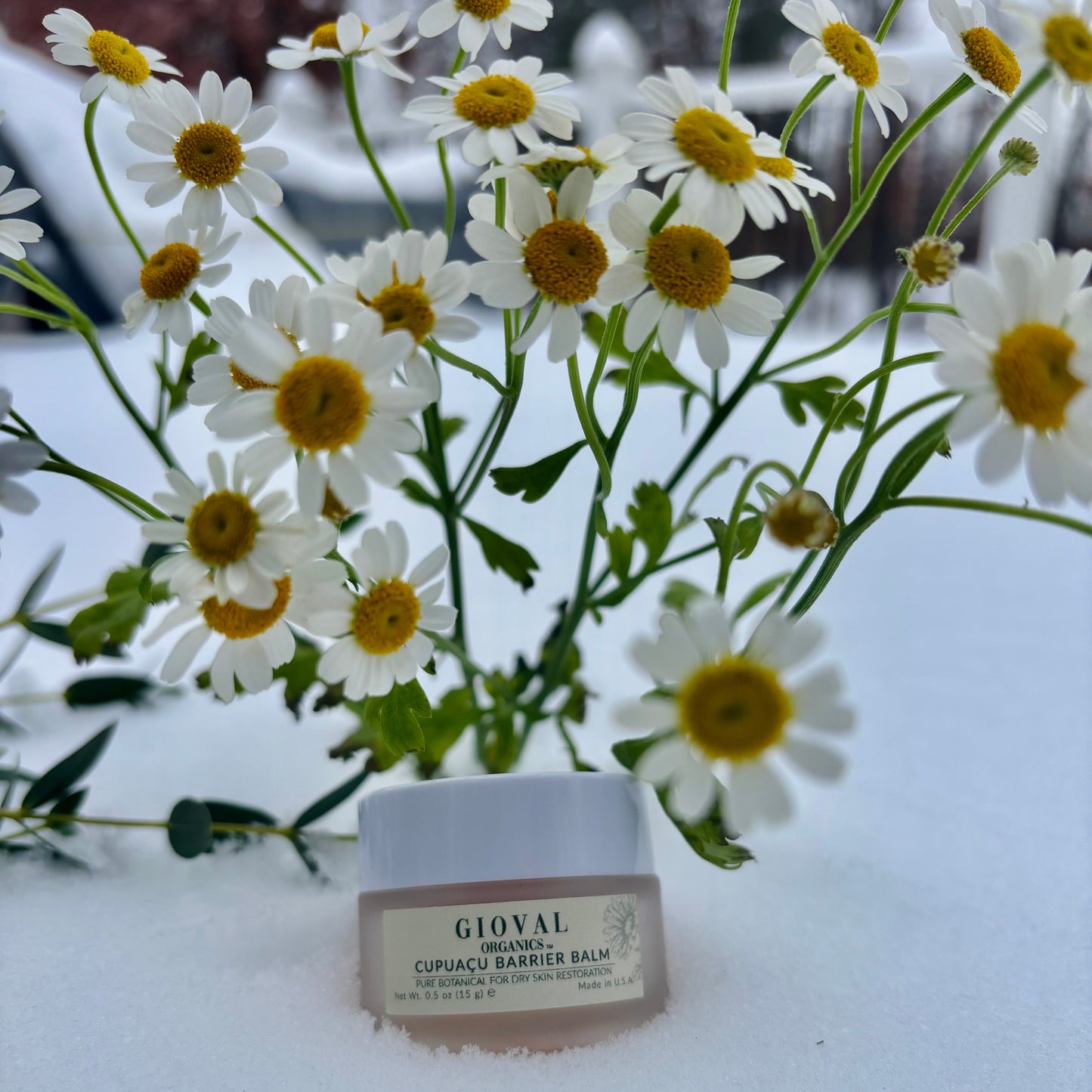 GIOVAL ORGANICS Cupuaçu Barrier Balm